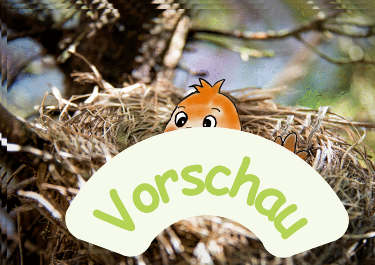 Vogel-Paket (Geburt/Mama/Kind)