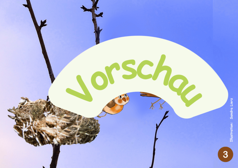 Vogel-Paket (Geburt/Mama/Kind)